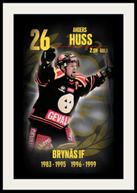 Andreas Huss Hedringsvepa Brynäs-2