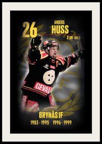 Andreas Huss Hedringsvepa Brynäs-2