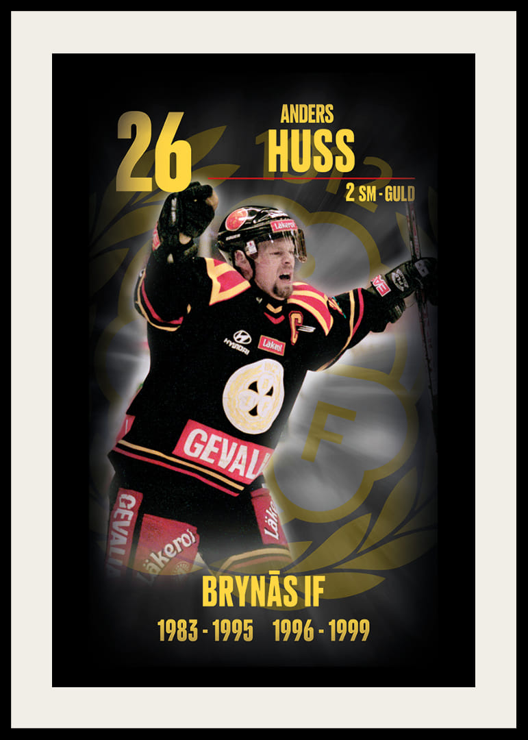 Andreas Huss Hedringsvepa Brynäs-12