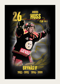 Andreas Huss Hedringsvepa Brynäs-3