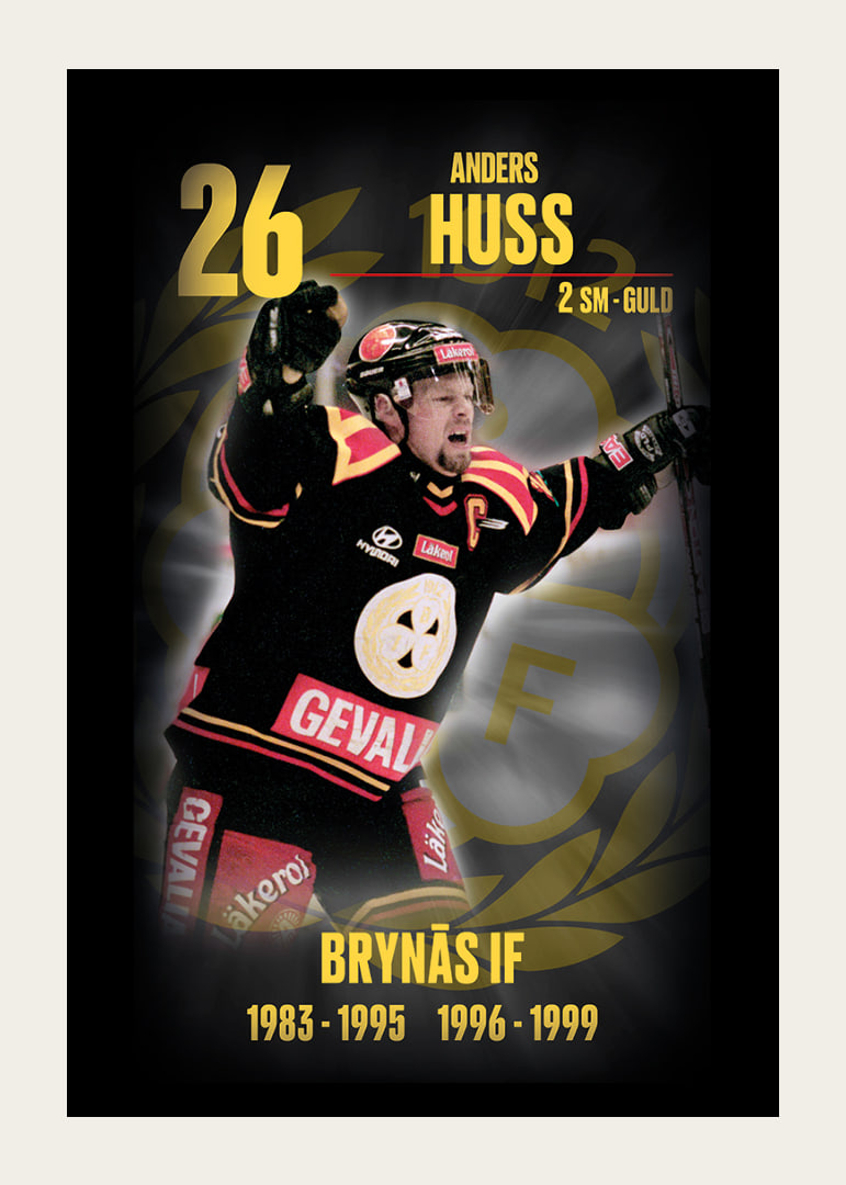 Andreas Huss Hedringsvepa Brynäs-12