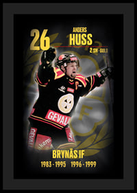 Andreas Huss Hedringsvepa Brynäs-4