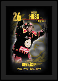 Andreas Huss Hedringsvepa Brynäs-4