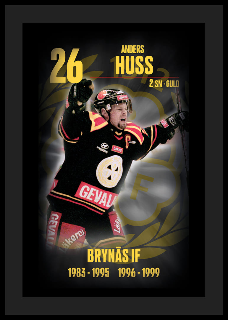 Andreas Huss Hedringsvepa Brynäs-12