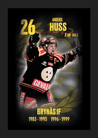 Andreas Huss Hedringsvepa Brynäs-5