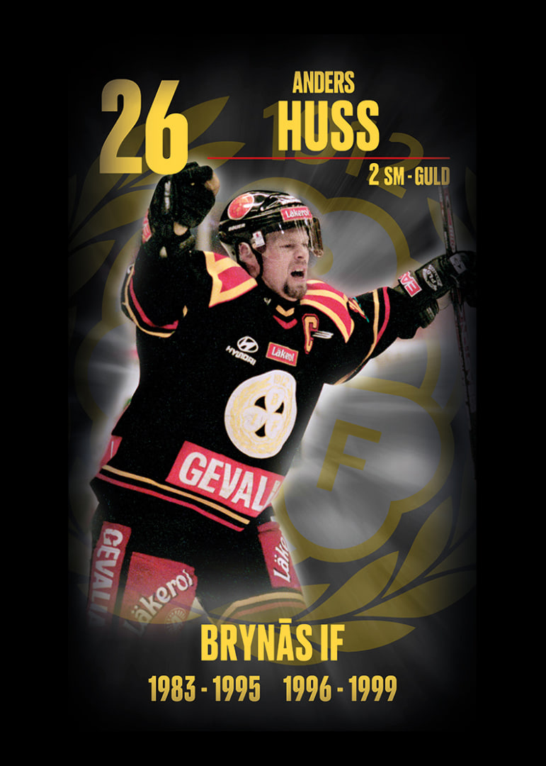 Andreas Huss Hedringsvepa Brynäs-12
