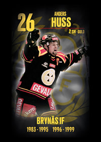 Andreas Huss Hedringsvepa Brynäs-7