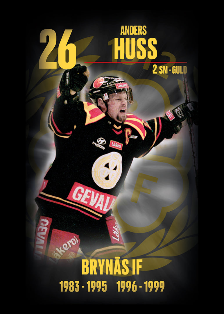 Andreas Huss Hedringsvepa Brynäs-12