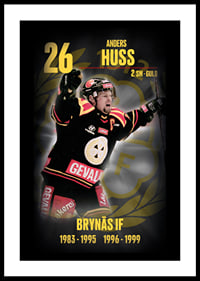 Andreas Huss Hedringsvepa Brynäs-0
