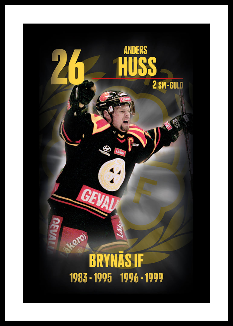 Andreas Huss Hedringsvepa Brynäs-12