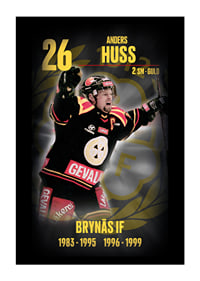 Andreas Huss Hedringsvepa Brynäs-1