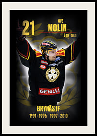 Ove Molin Hedringsvepa Brynäs-2
