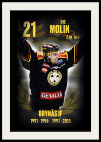 Ove Molin Hedringsvepa Brynäs-2