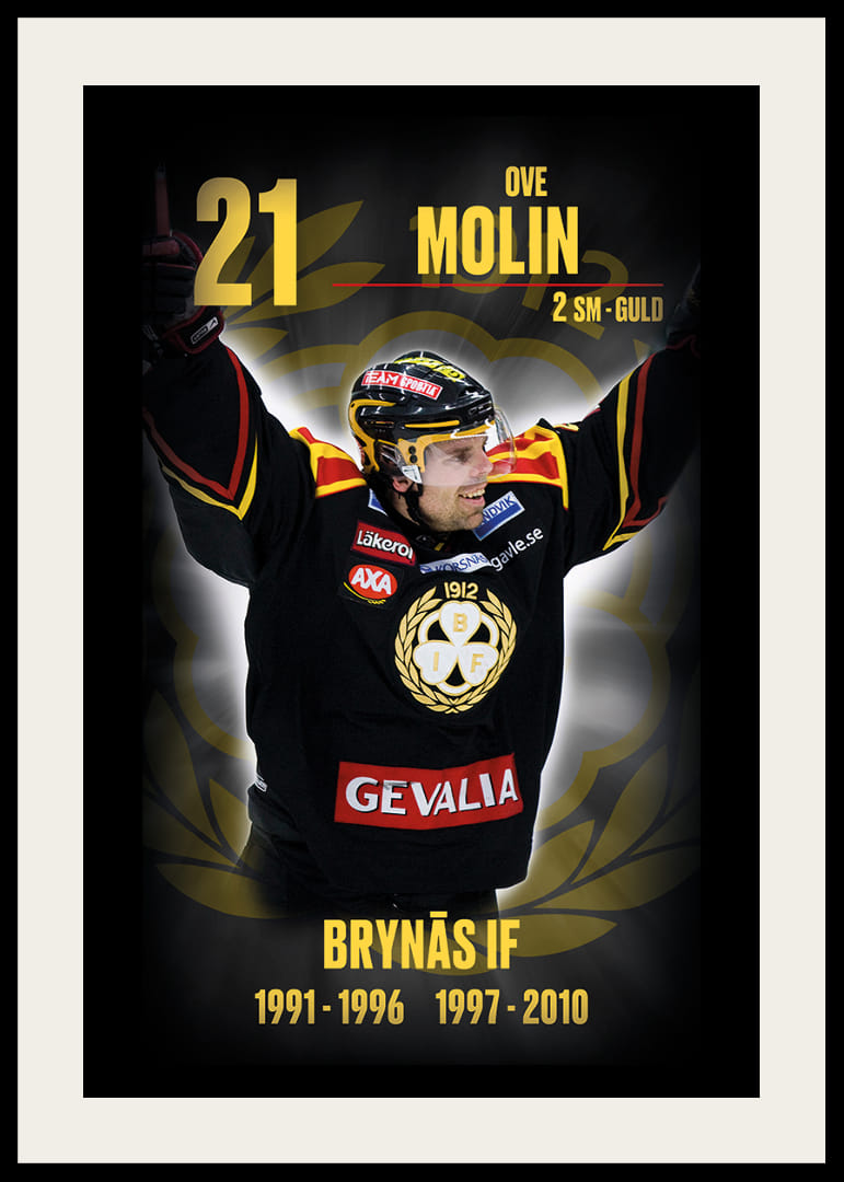Ove Molin Hedringsvepa Brynäs-12