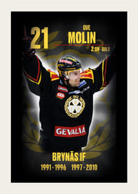 Ove Molin Hedringsvepa Brynäs-3