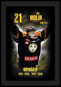 Ove Molin Hedringsvepa Brynäs-4