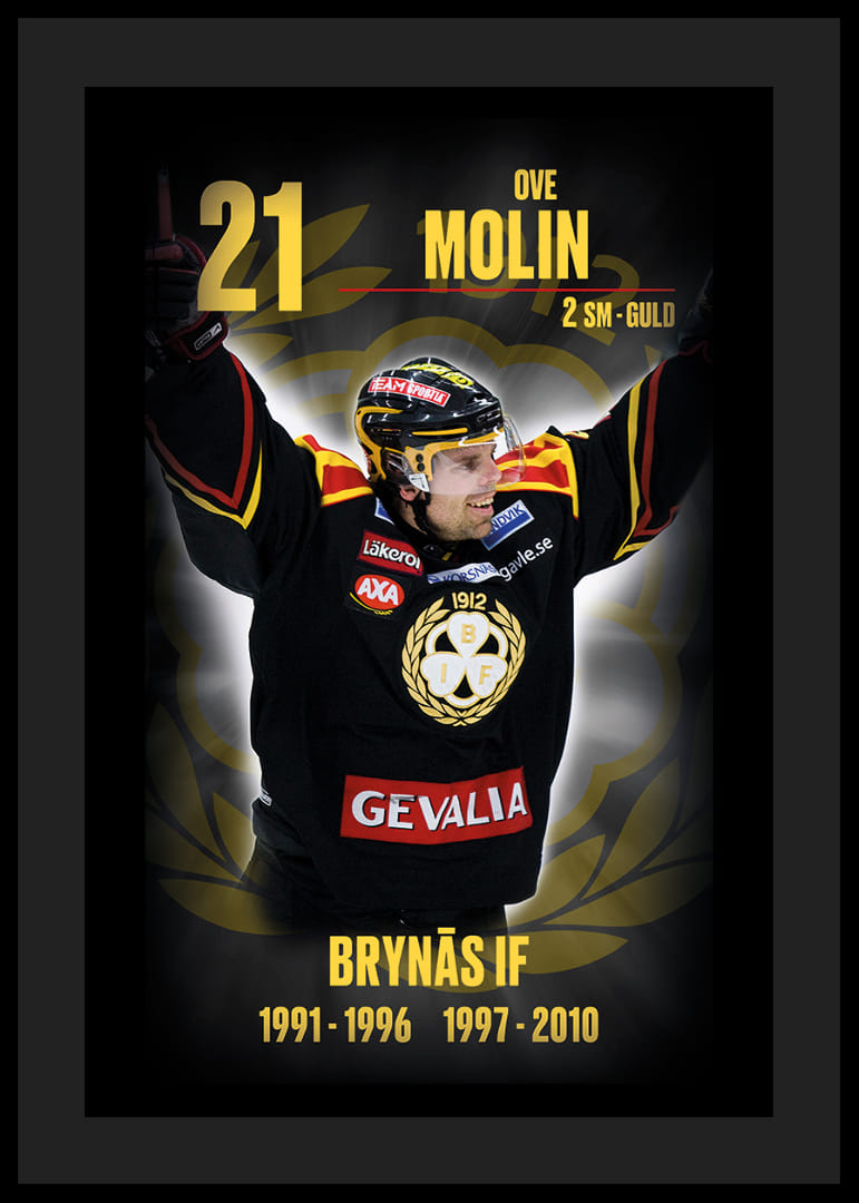Ove Molin Hedringsvepa Brynäs-12