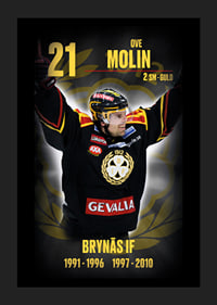 Ove Molin Hedringsvepa Brynäs-5