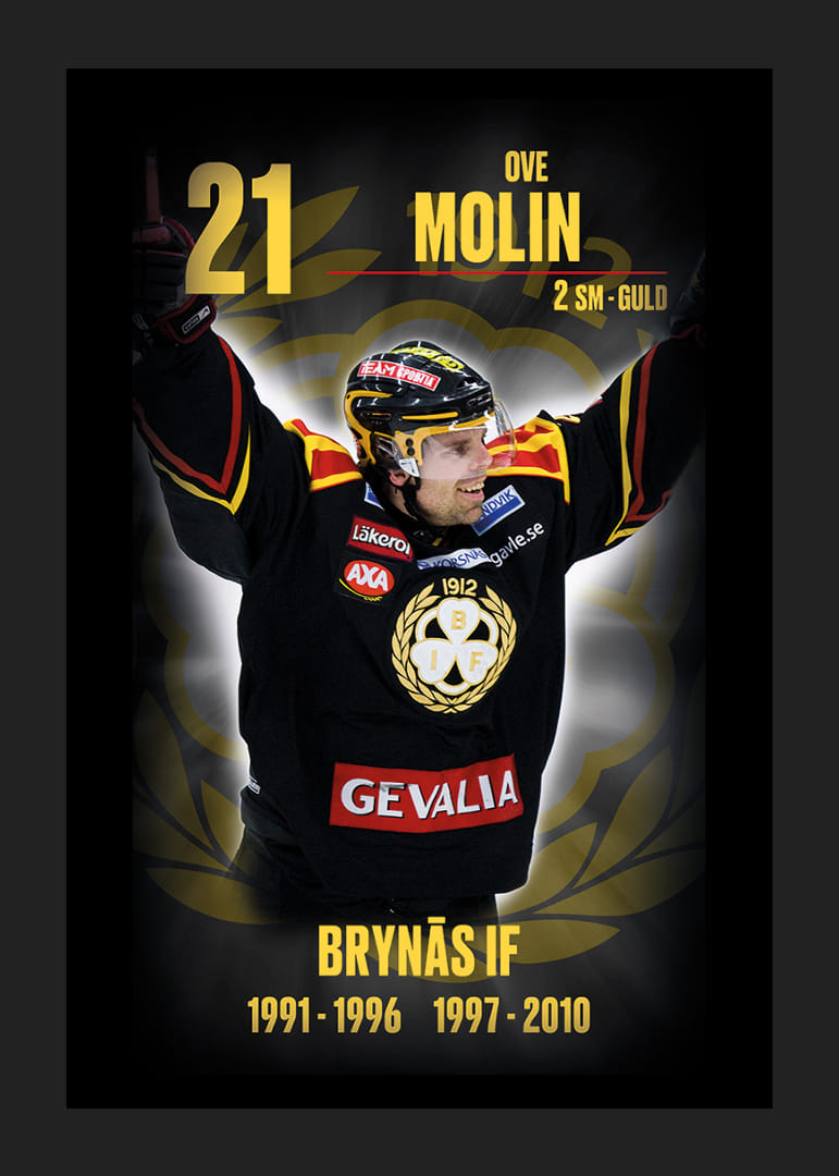 Ove Molin Hedringsvepa Brynäs-12