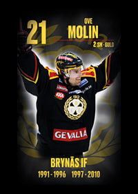 Ove Molin Hedringsvepa Brynäs-6