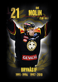 Ove Molin Hedringsvepa Brynäs-7
