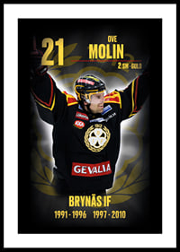 Ove Molin Hedringsvepa Brynäs-0