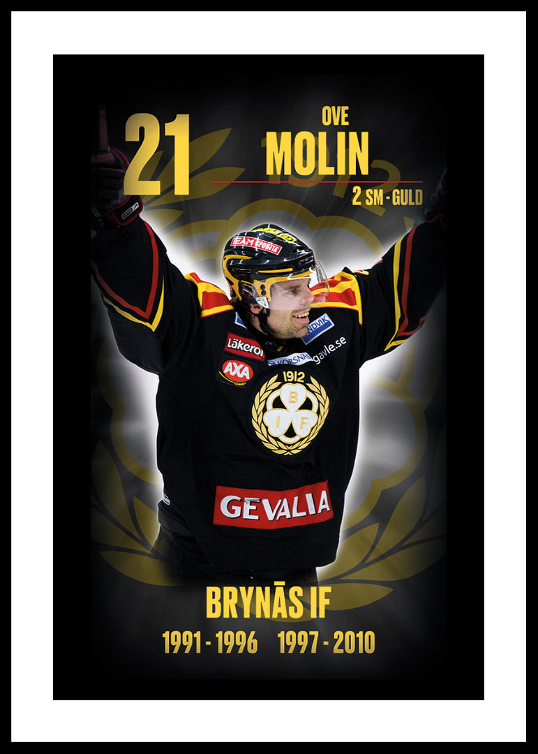 Ove Molin Hedringsvepa Brynäs-12