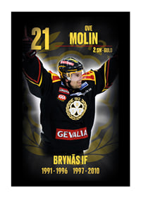 Ove Molin Hedringsvepa Brynäs-1