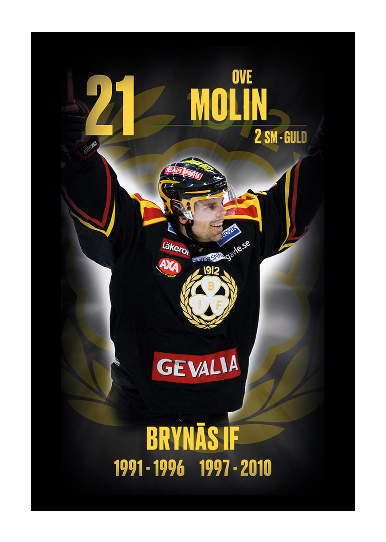 Ove Molin Hedringsvepa Brynäs-12