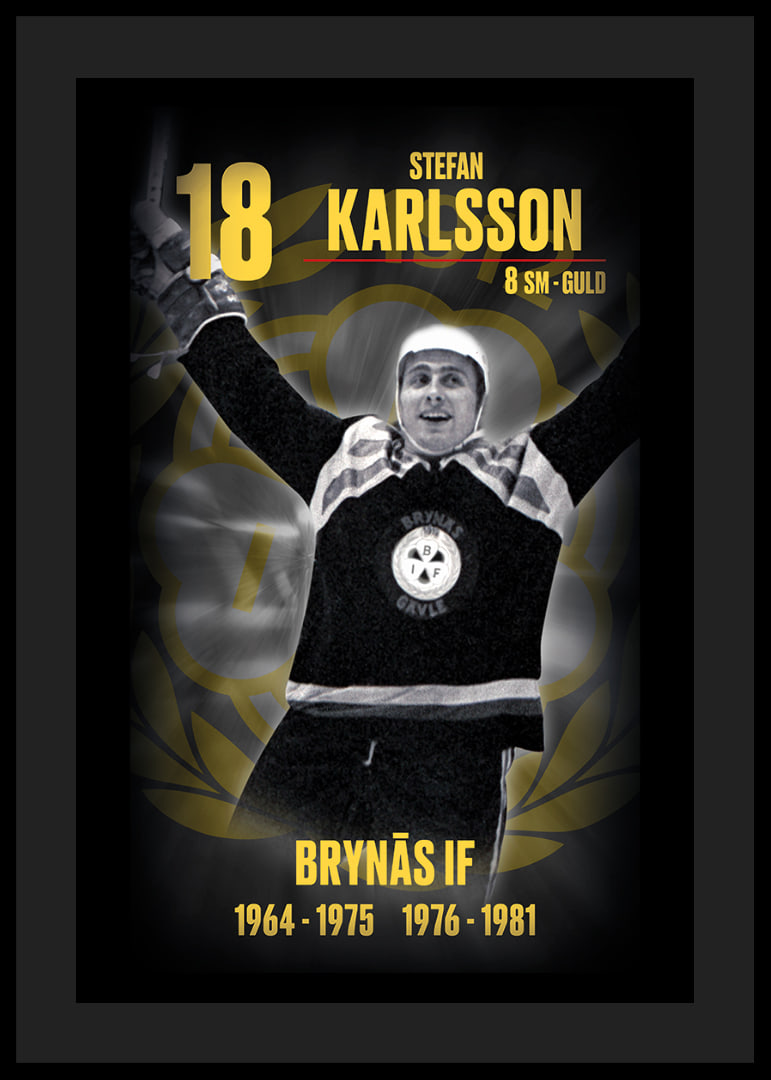 Stefan Karlsson Hedringsvepa Brynäs-12