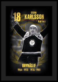 Stefan Karlsson Hedringsvepa Brynäs-4