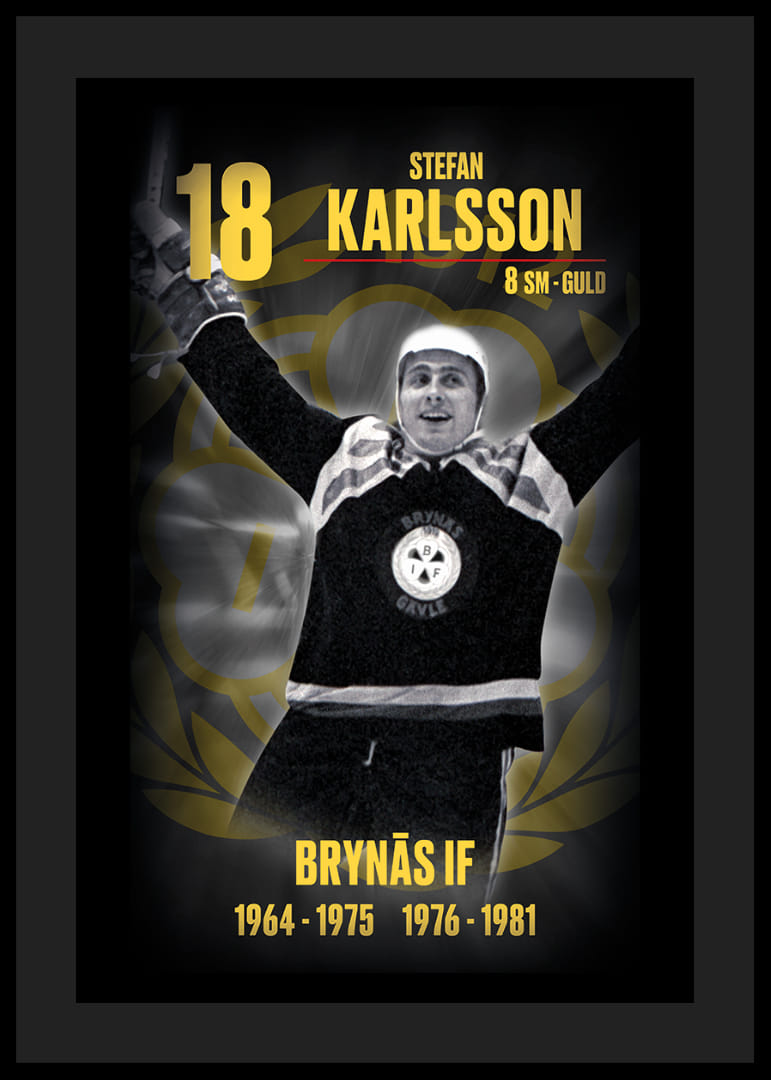Stefan Karlsson Hedringsvepa Brynäs-12