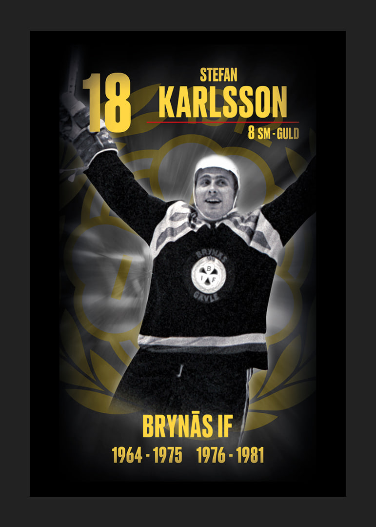 Stefan Karlsson Hedringsvepa Brynäs-12