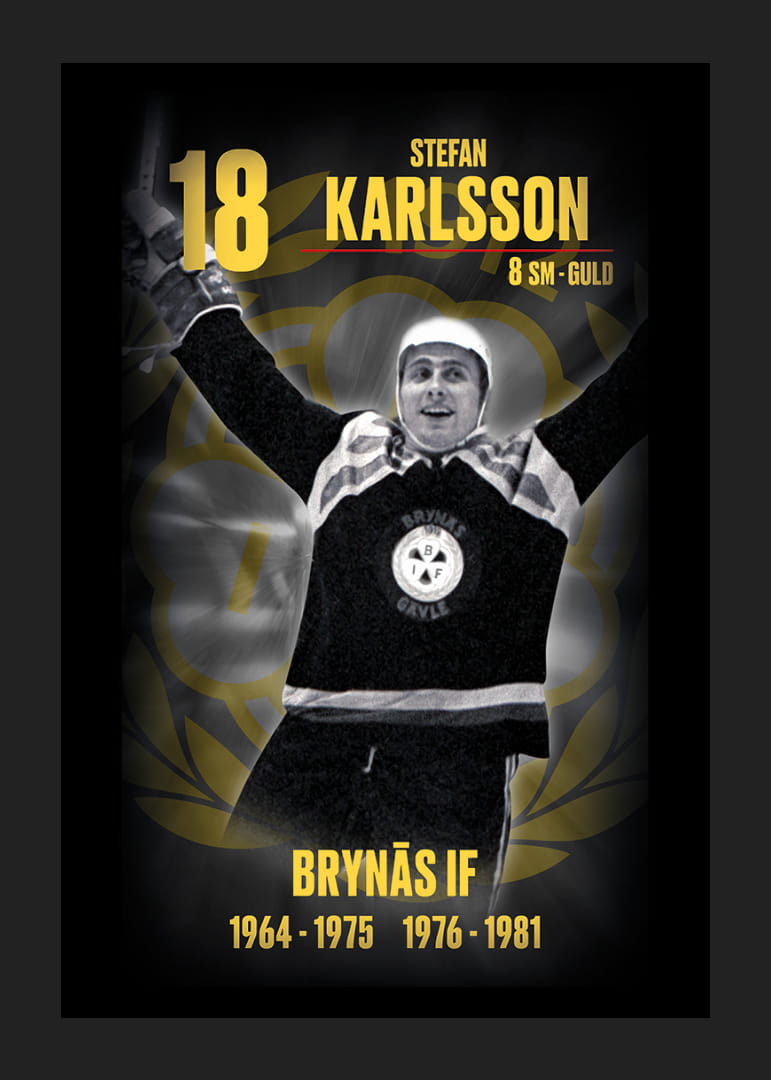 Stefan Karlsson Hedringsvepa Brynäs-12
