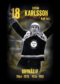 Stefan Karlsson Hedringsvepa Brynäs-7