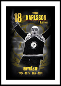 Stefan Karlsson Hedringsvepa Brynäs-0