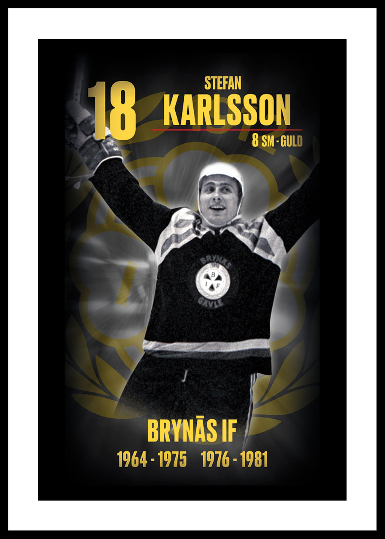 Stefan Karlsson Hedringsvepa Brynäs-12
