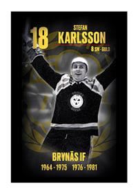 Stefan Karlsson Hedringsvepa Brynäs-1