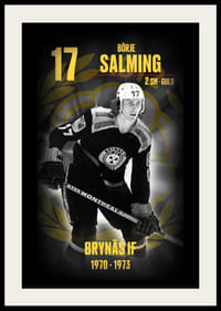 Börje Salming Hedringsvepa Brynäs-2