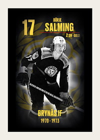 Börje Salming Hedringsvepa Brynäs-3