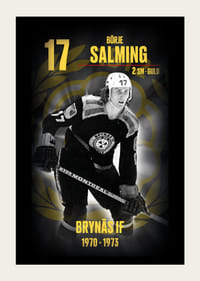 Börje Salming Hedringsvepa Brynäs-3