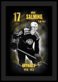 Börje Salming Hedringsvepa Brynäs-4