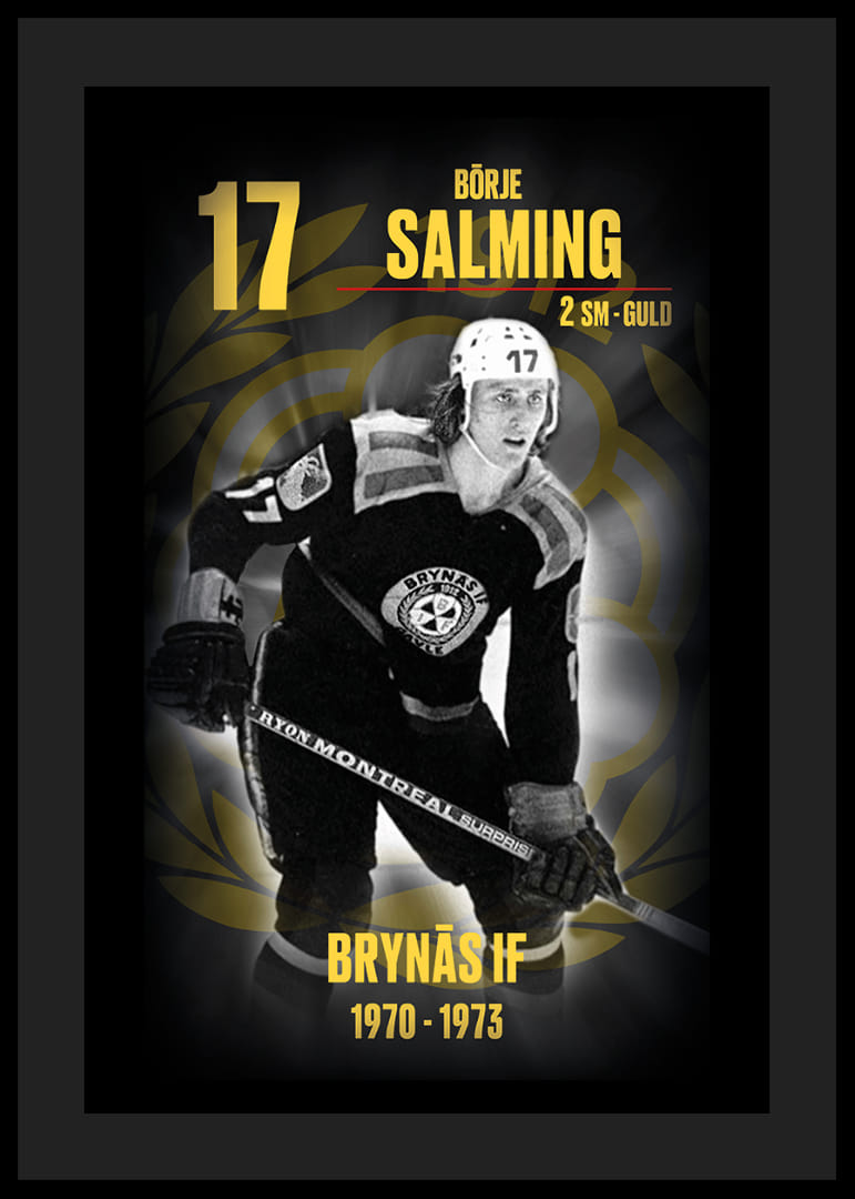 Börje Salming Hedringsvepa Brynäs-12