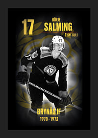 Börje Salming Hedringsvepa Brynäs-5