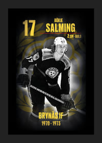 Börje Salming Hedringsvepa Brynäs-5