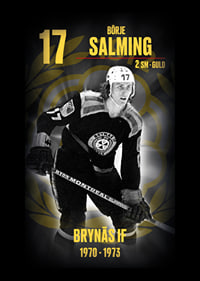 Börje Salming Hedringsvepa Brynäs-6