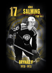 Börje Salming Hedringsvepa Brynäs-7