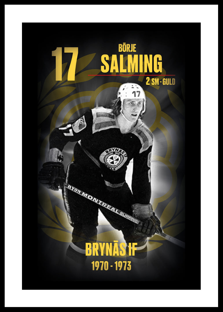 Börje Salming Hedringsvepa Brynäs-12