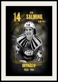 Stig Salming Hedringsvepa Brynäs-2