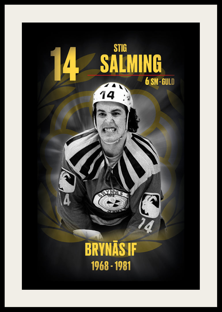 Stig Salming Hedringsvepa Brynäs-12